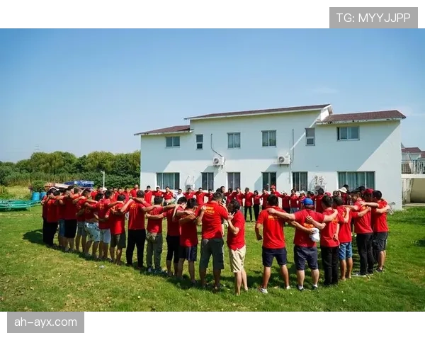 芬兰国家队友谊赛表现抢眼，彰显强大实力与团队凝聚力