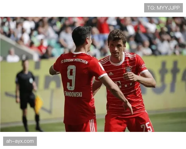 弗赖堡欧战黑马惊艳亮相，为荣誉全力奋战