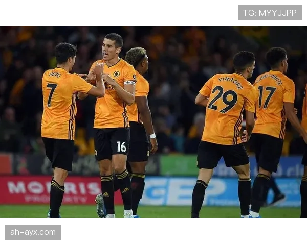 狼队球员在关键比赛中表现稳健，整体状态引发媒体热议