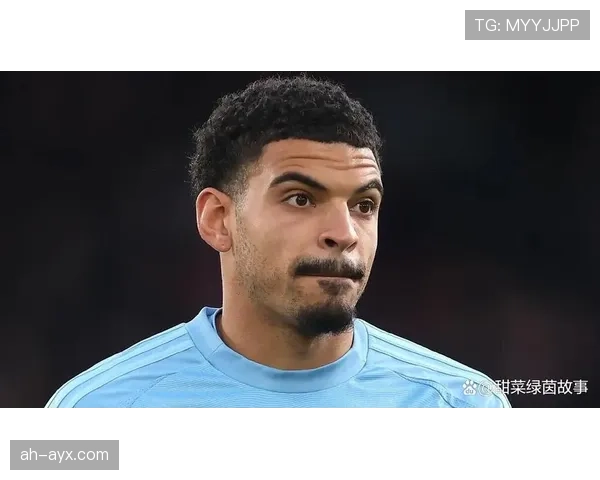 英超吉布斯-怀特