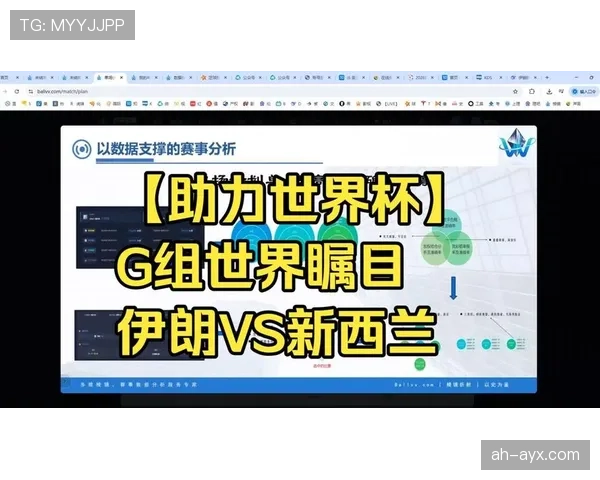 新西兰G组比赛结果实时关注