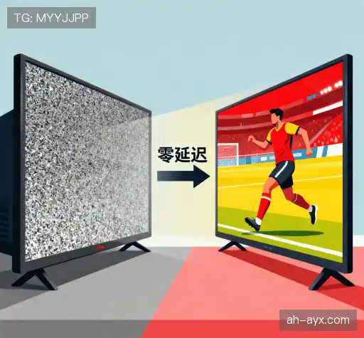 我们胜出的理由